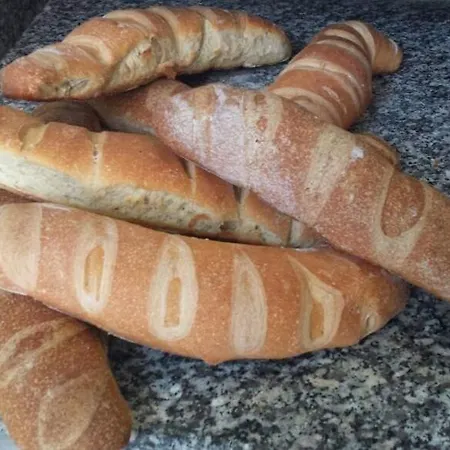 Cavallo Bianco Hotel Novara