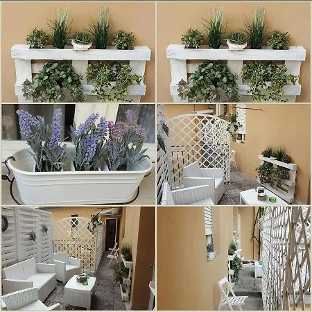 Cavallo Bianco 2* نوفارا