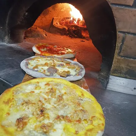 Cavallo Bianco نوفارا