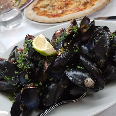 Cavallo Bianco 2* نوفارا